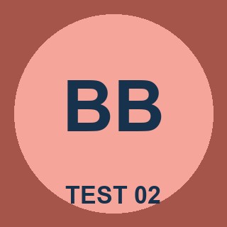 Bailey Brook (Test 02)